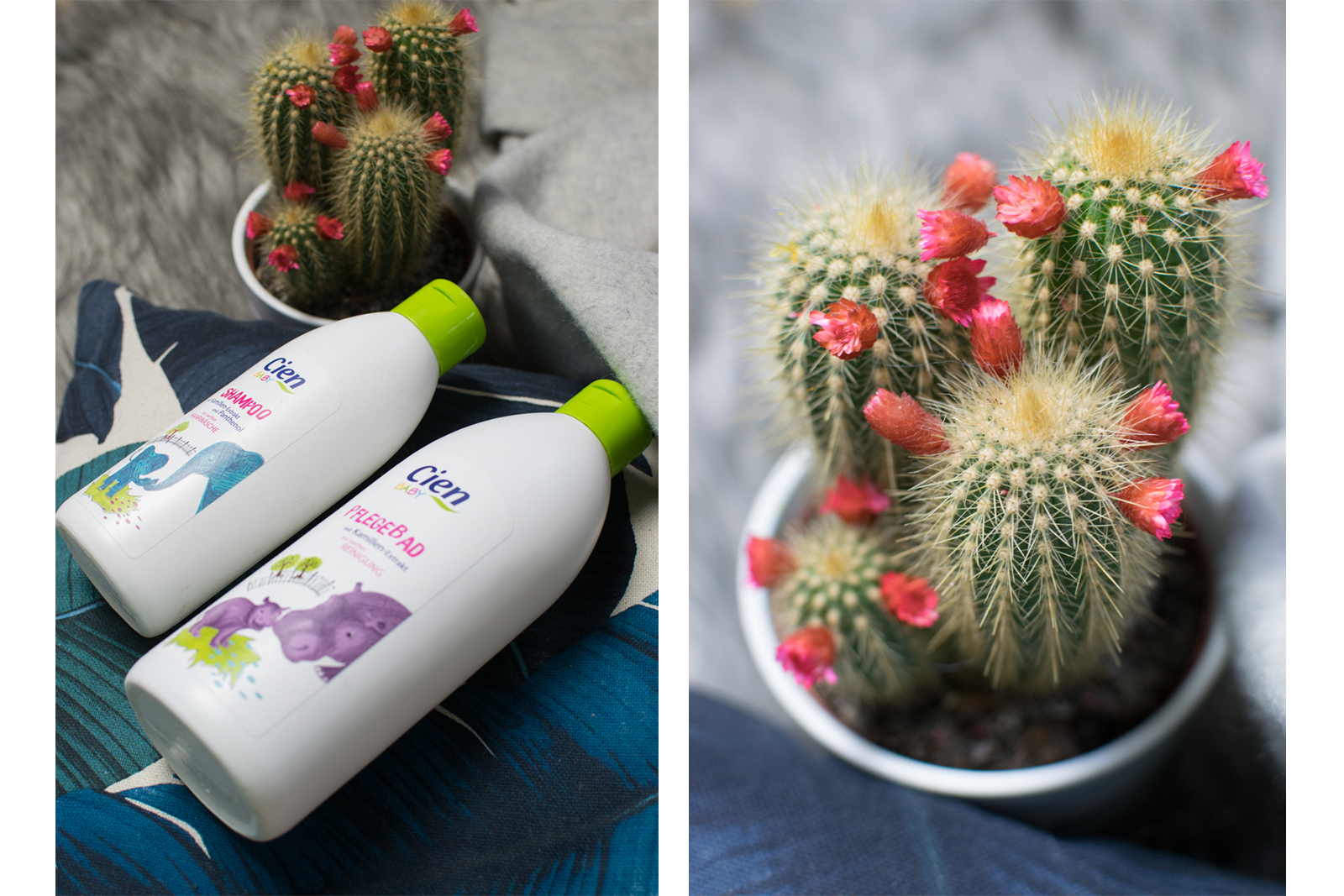 CIEN BABY pflegebad shampoo lidl trendshock zartcreme pflegeöl wundschutzcreme Trendshock